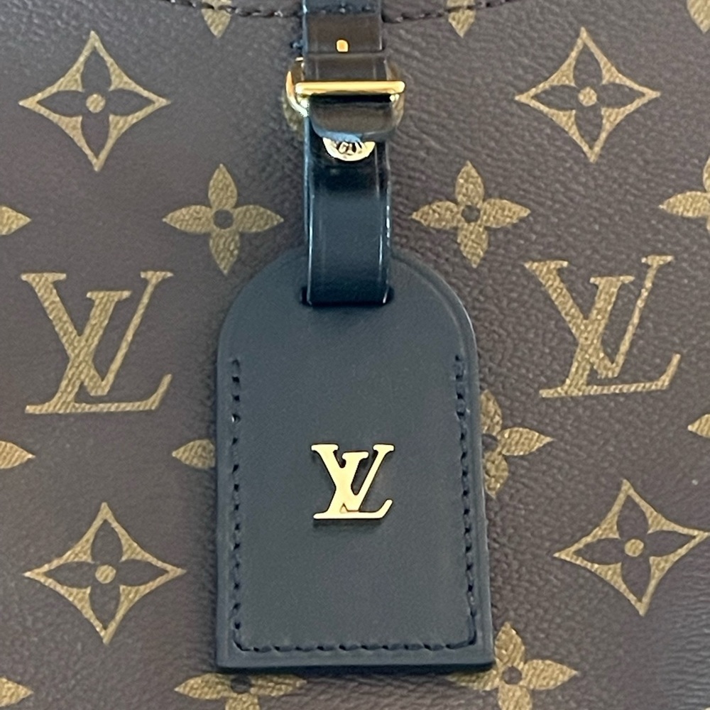 Louis Vuitton | Odeon NM Handbag Monogram Canvas PM Crossbody | Black - Picture 7 of 16